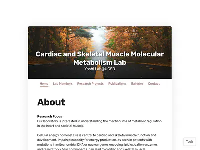 Cardiac and Skeletal Muscle Molecular Metabolism Lab