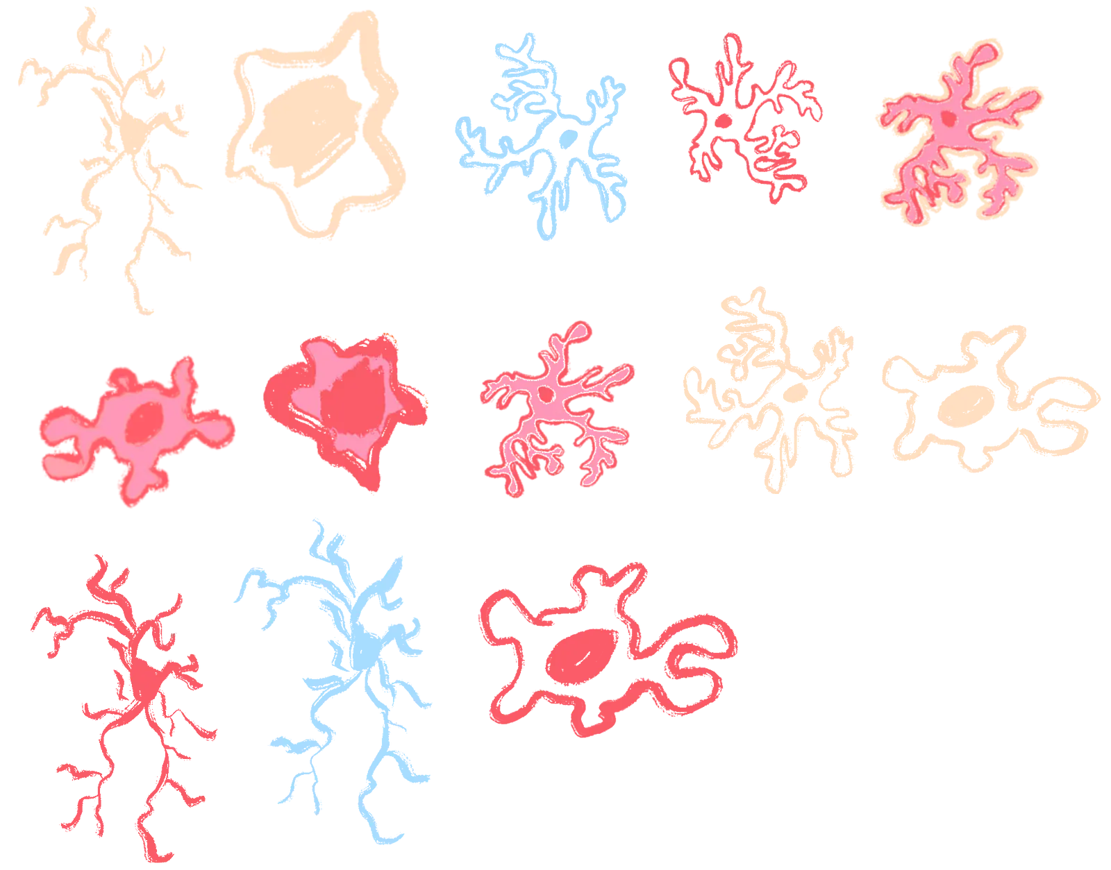  Different versions of microglia, the immune cells of the brain, demonstrating how these cells change shape. 
