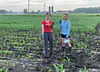 Collecting maize seedlings in Champaign, IL - 2022