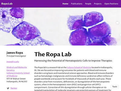 Ropa Lab