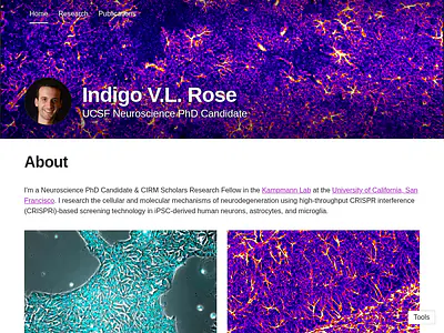 Indigo V.L. Rose