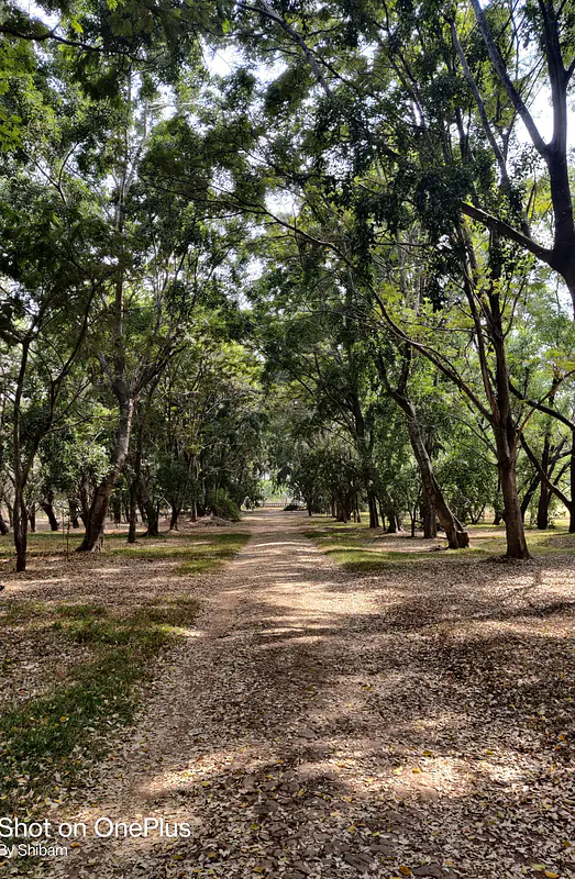 Oh! Dear IISc
