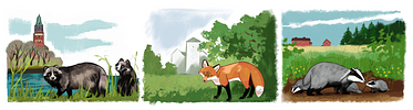 Banner image placeholder