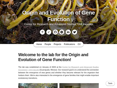 Origin and Evolution of Gene Function