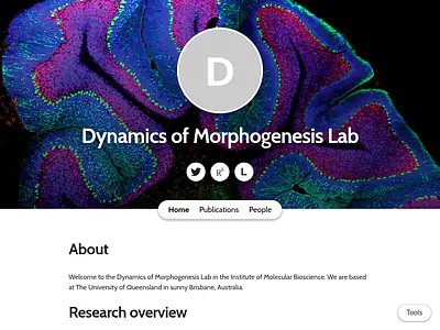 Dynamics of Morphogenesis Lab