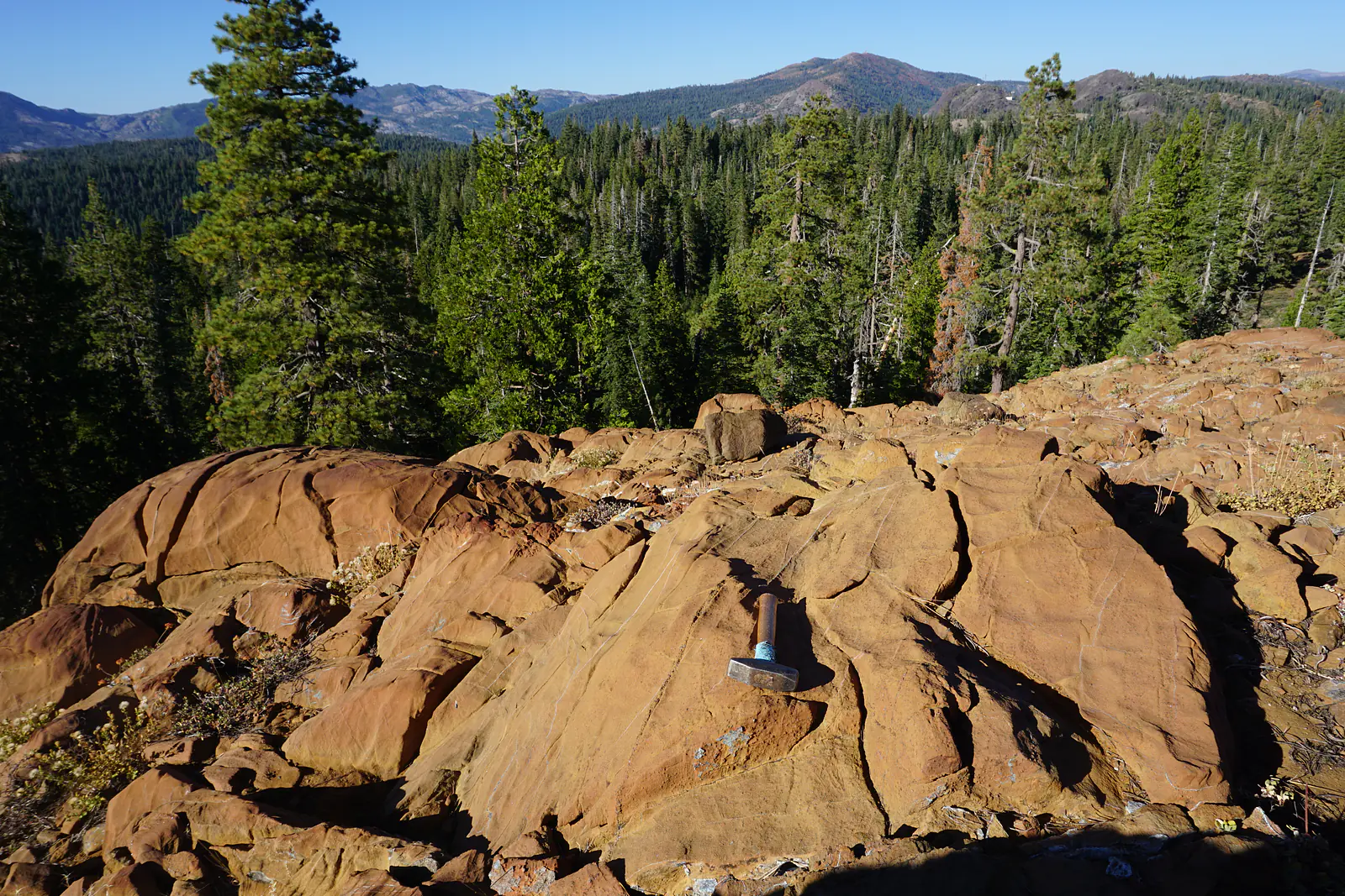 Dunite formed as a cumulate in the upper crust by subduction-zone magmatism.