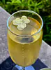 Jardin Royale - Champagne Flute
