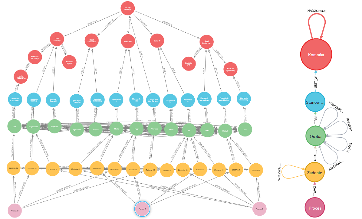 Heterogoniczny graf organizacji opracowany w Neo4j