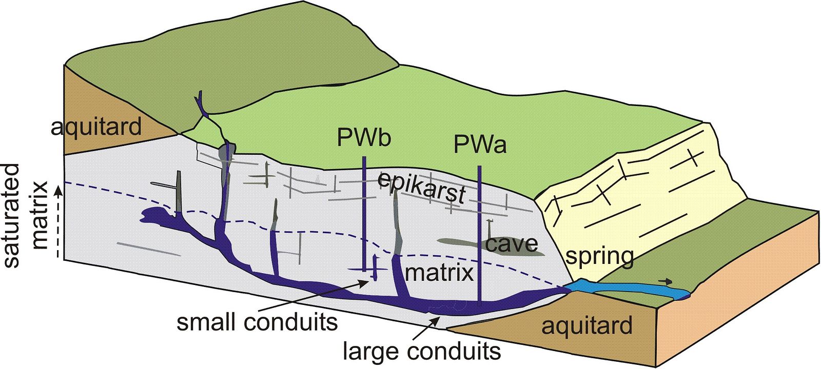Karst aquifer with a pumping-well (PW) located into the karst conduit network (modified from GOLSCHEIDER & DREW 2007): PWa pumping well crossing the main karst drainage network; PWb pumping well crossing a small karst conduit