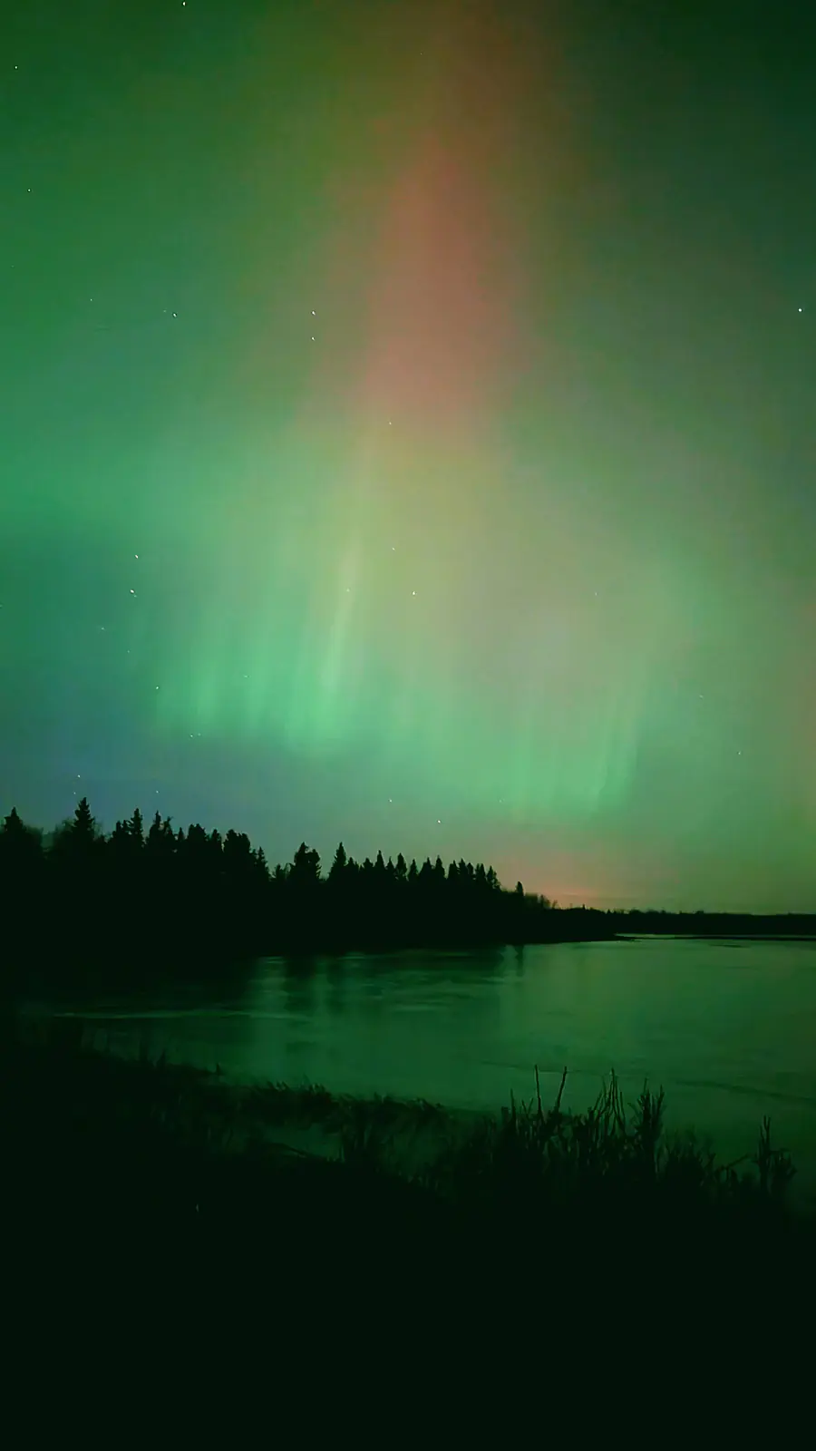 Elk Island Aurora | Alberta, Canada | 2025