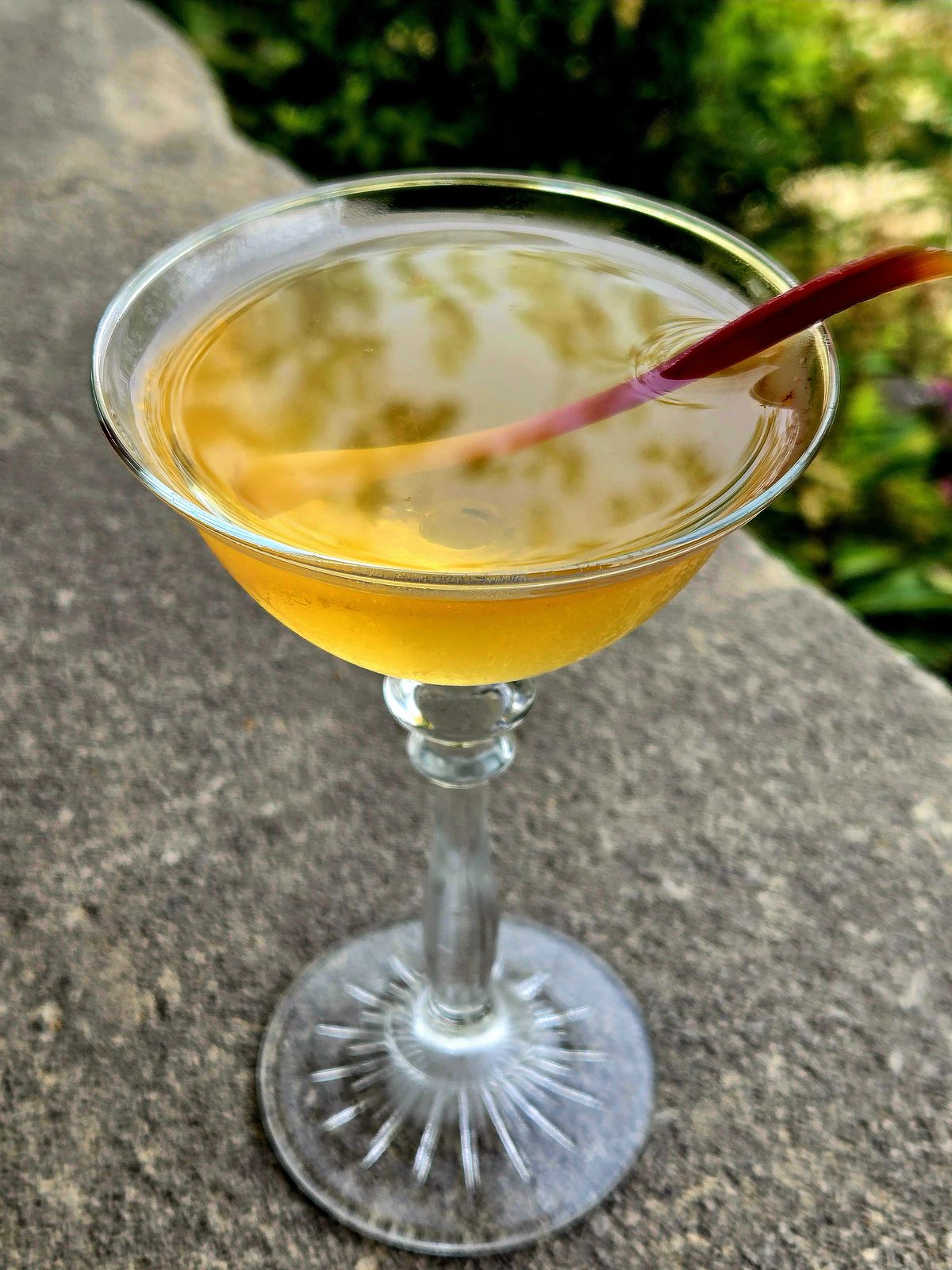 The Forager's Gibson in a Coupe with pickled ramp garnish atop a stone wall.