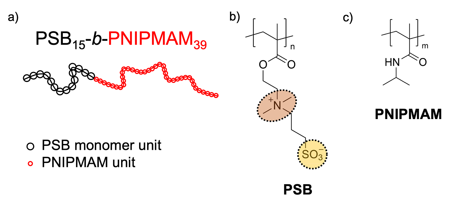 The figure has three subfigures a, b, and c. A shows the exemplified chemical structure of a diblock copolymer. B and C show the chemical structure of a poly(sulfobetaine) and PNIPMAM, respectively. Figure by Lucas Kreuzer