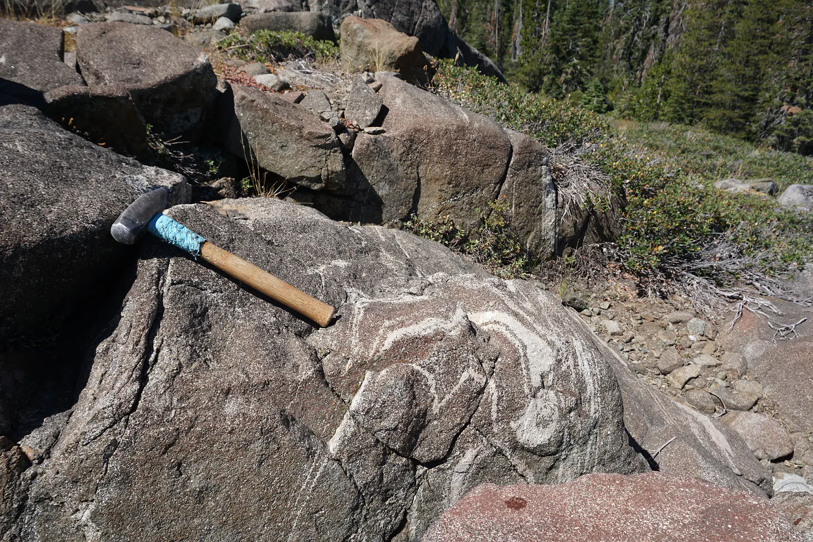 Ductile deformation of plagioclase- and pyroxene-rich layers formed in a dynamic mafic crystal mush system.