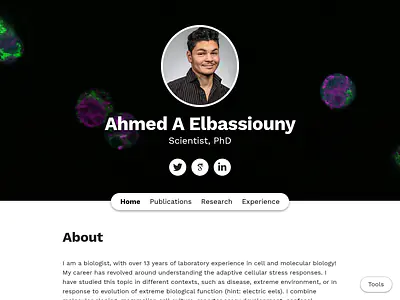 Ahmed A Elbassiouny