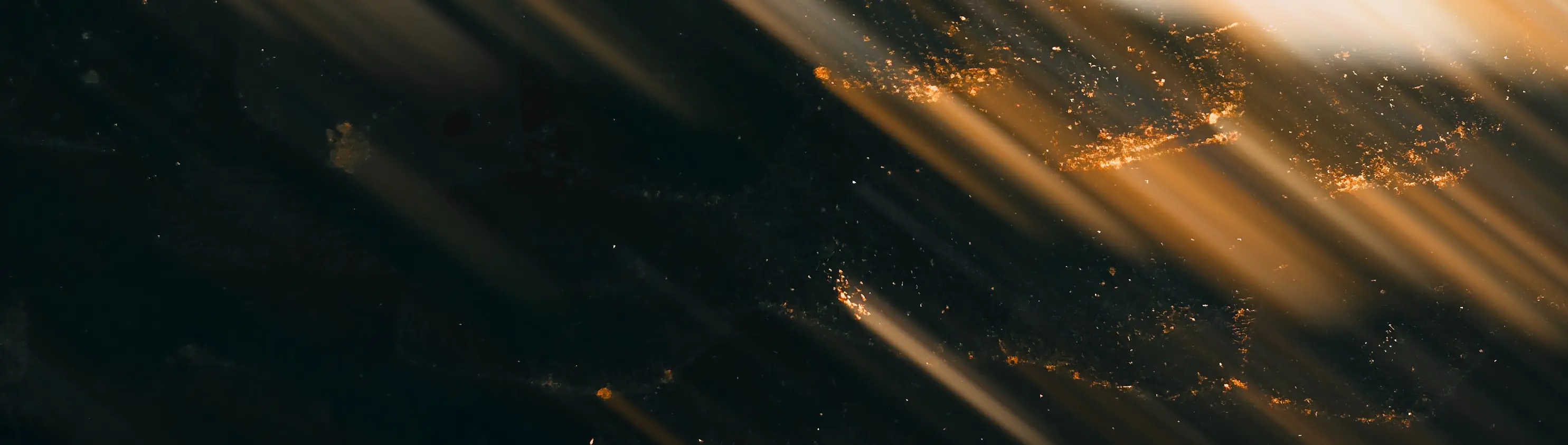 Banner image