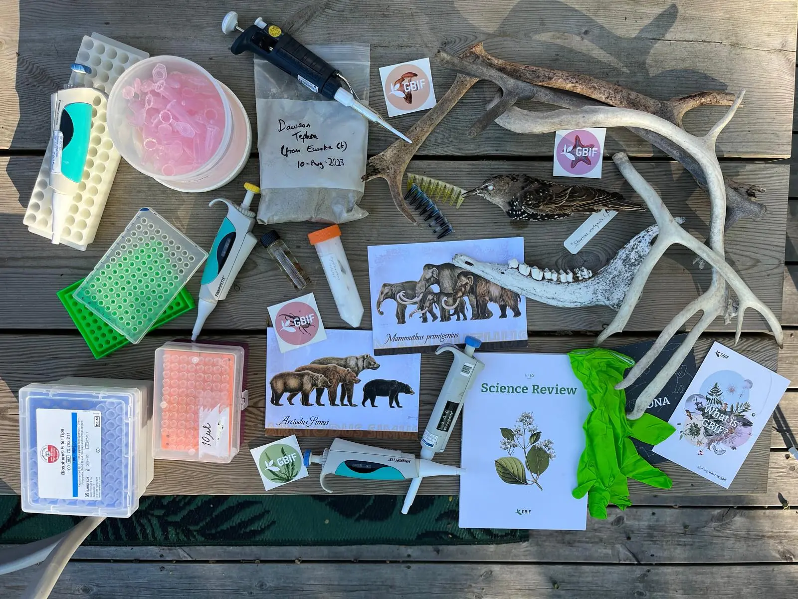 Some of my props for Borrow a Researcher talks.