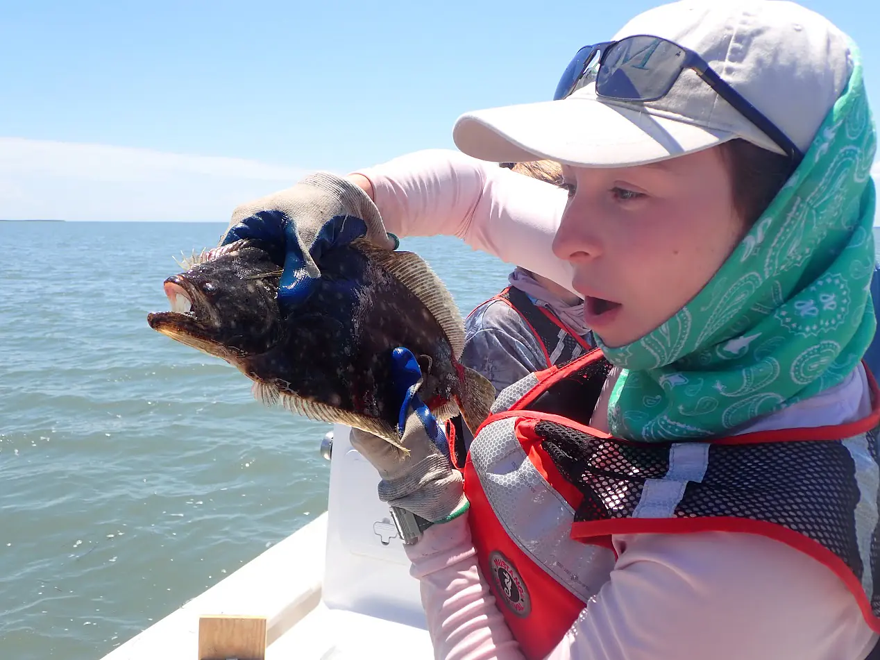 Flounder sampled in a South Bay trawl
