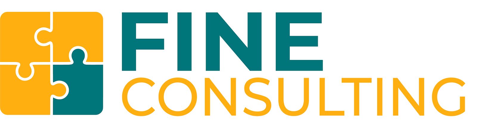 Fine Consulting LLC