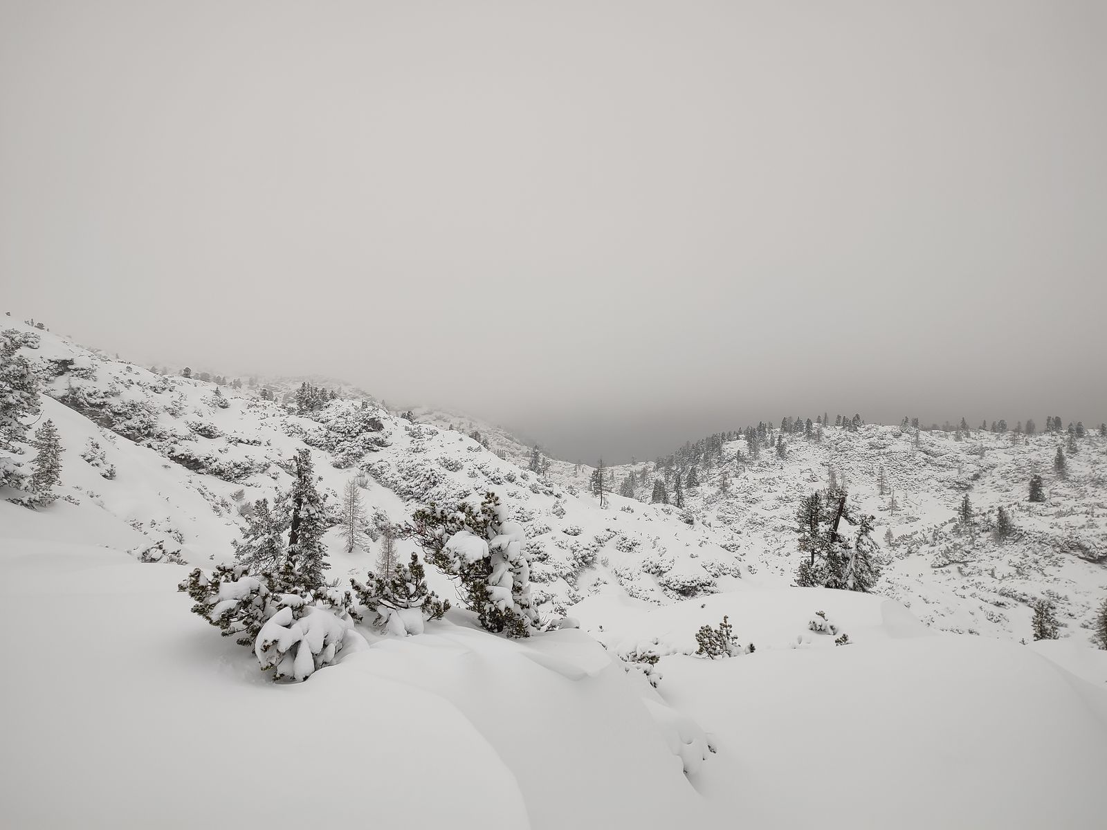 A snowy mountain landscape with sparse tree coverage in dense, grey clouds.