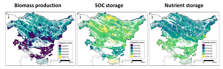 The figure shows three maps of the Basque Country showing the spatial pattern f the capacity for doing each of the functions.