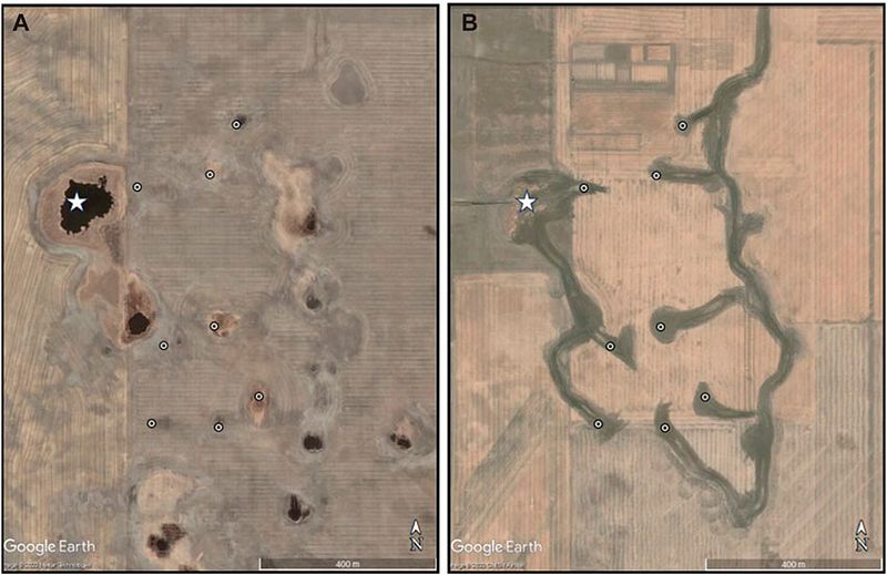 Satellite image comparison of prairie pothole wetlands before and after drainage installation.