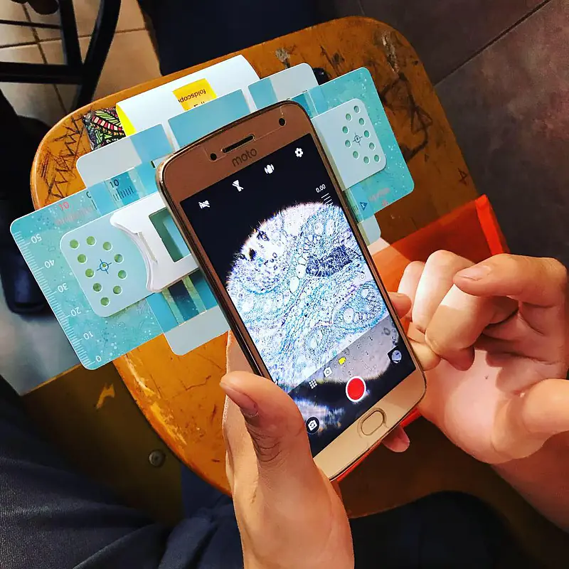 Microcosmos explorer student using their cellphone to capture a photograph of a prepared rhizome slide through the Foldscope.