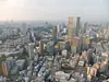 Japan, Tokyo, Minato (2019): View from the Mori Tower in Roppongi Hills