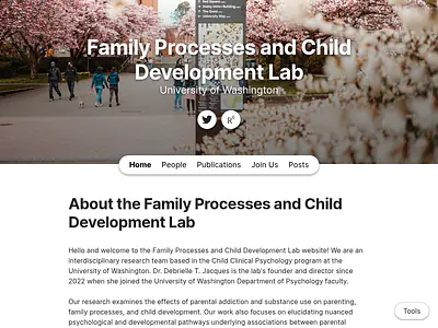 Family Processes and Child Development Lab
