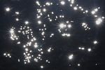 Banner image placeholder