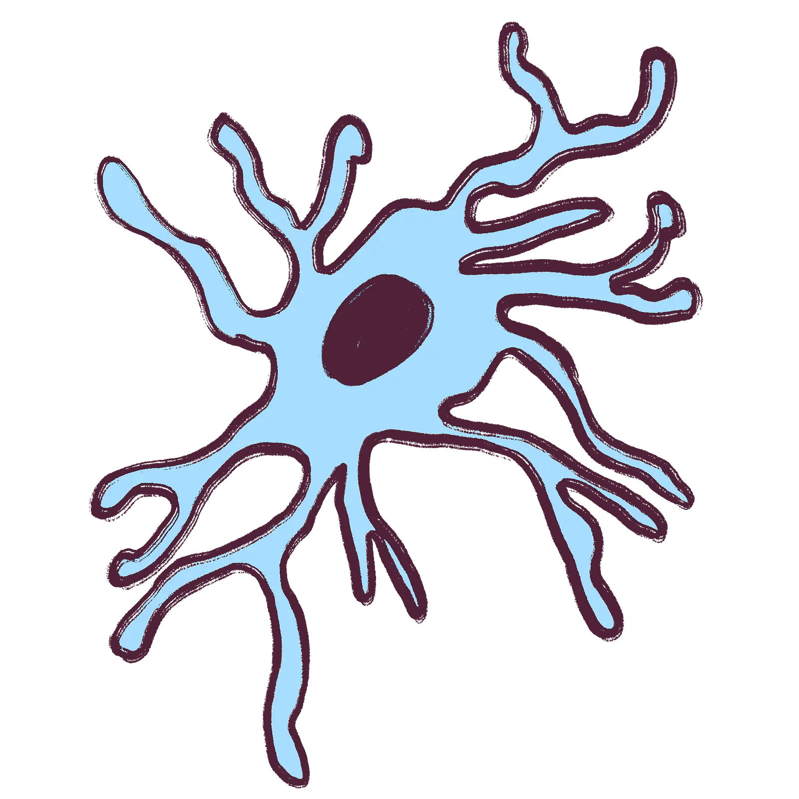  A microglia, the immune cell of the brain. 