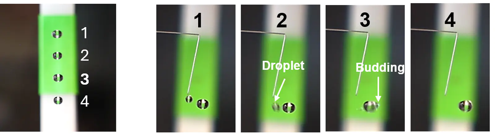APGC process