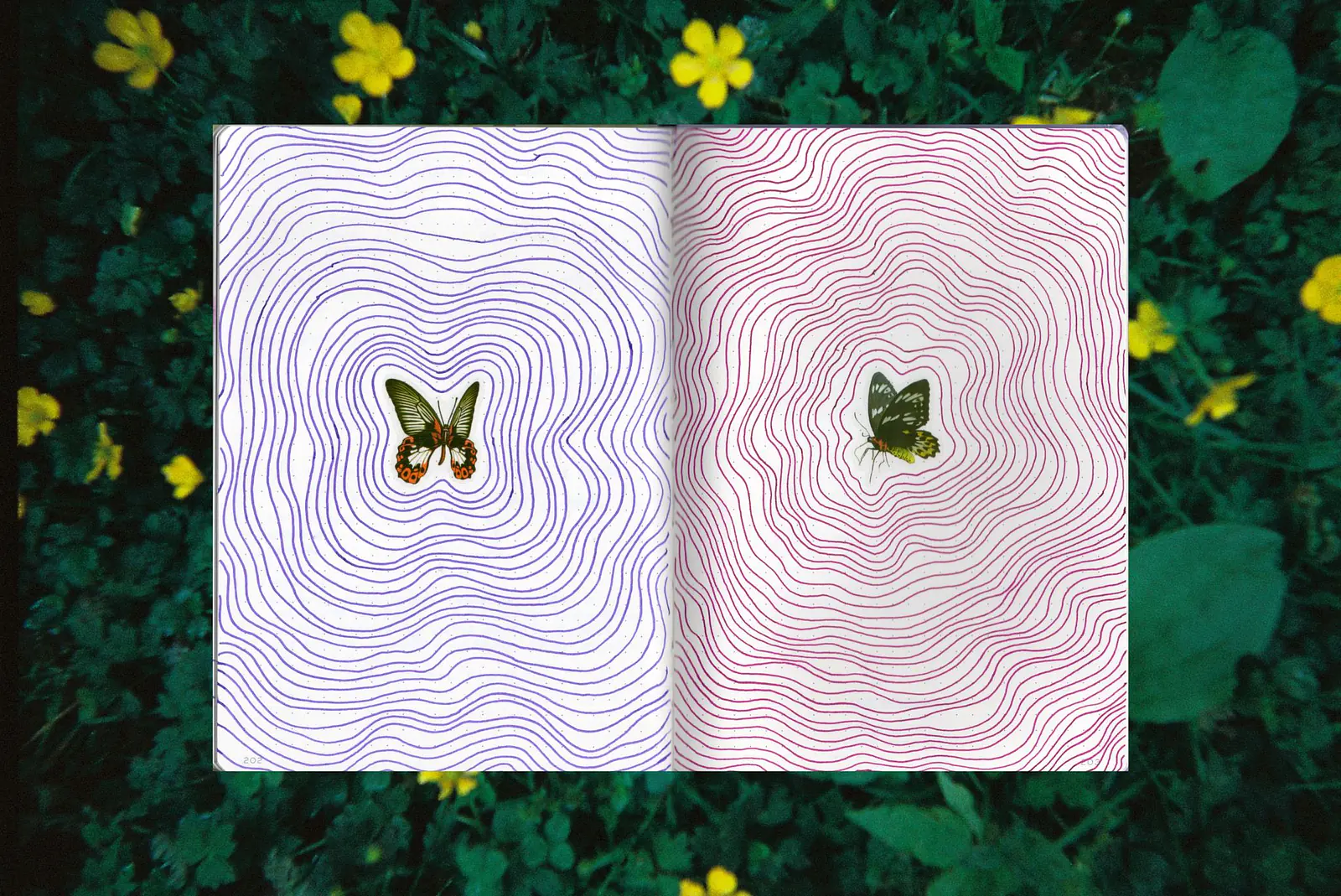 The last two pages