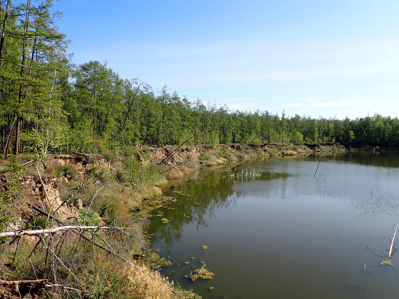 Russia, Republic of Sakha (Yakutia), Megino-Kangalassky District (2021): Expanding thermokarst lake (tyympy) near Maya