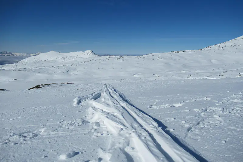 Old ski tracks in Taillefer (France)