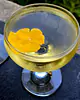 Jardin Royale - Champagne Coupe