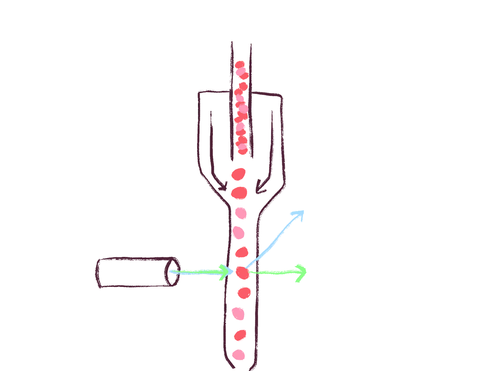  Flow cytometry, a technique to identify characteristics of cells. 