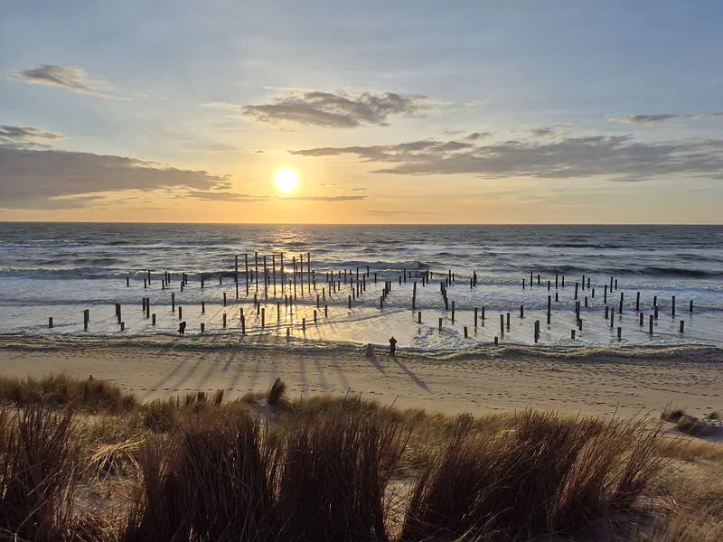 Netherlands, North Holland, Petten (2026): View towards the North Sea and the Palendorp memorial installation. The wooden posts resemble structures of a former village that was swept away by floods. Today the village is protected by a newly reinforced dike (Hondsbossche Zeewering en Duinen)