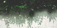 Banner image placeholder