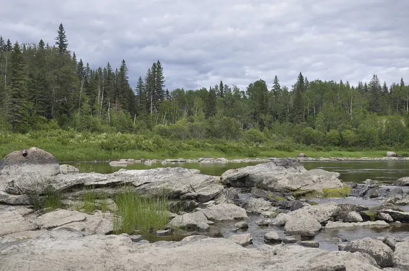The Albany River