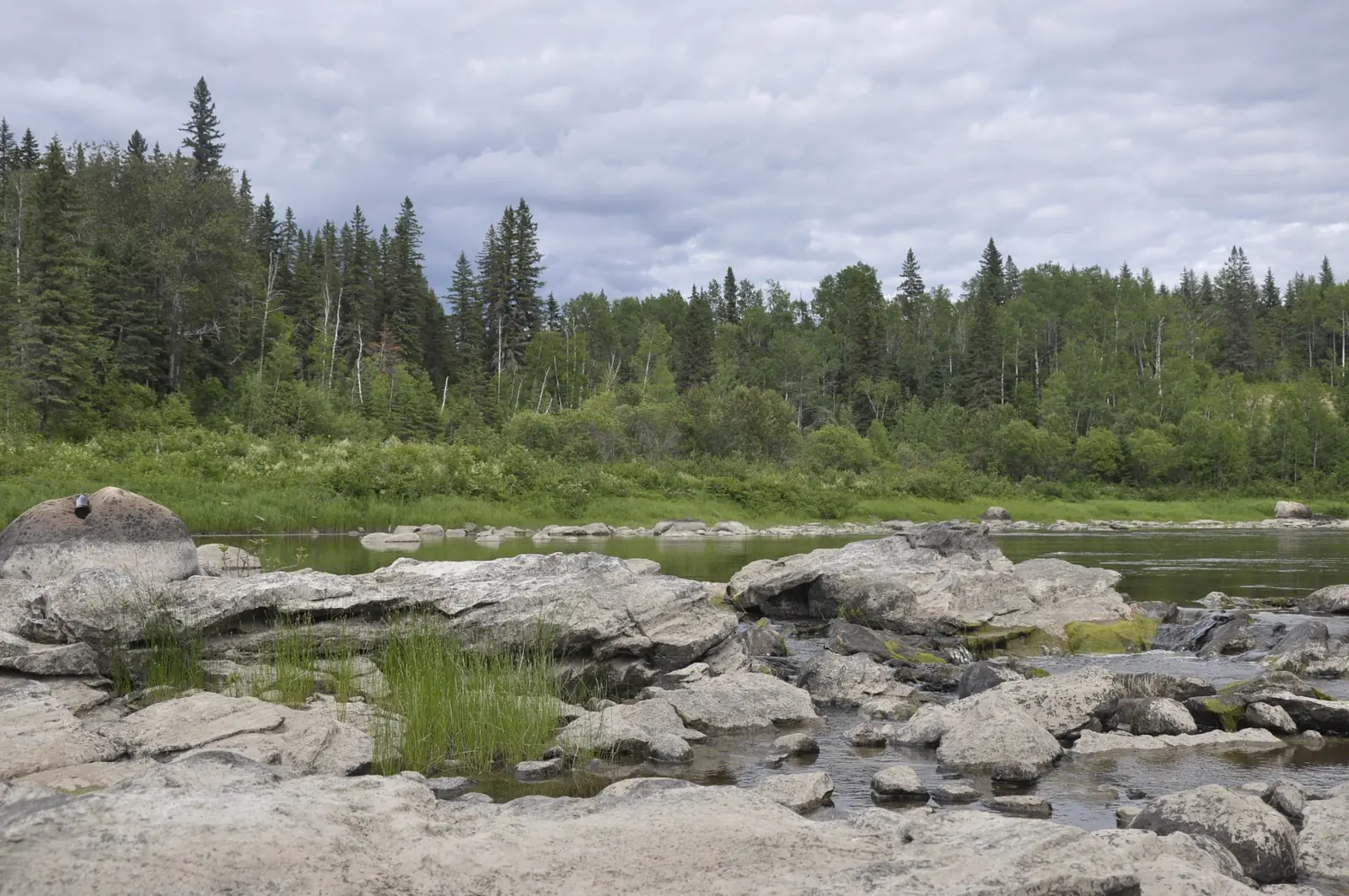 The Albany River