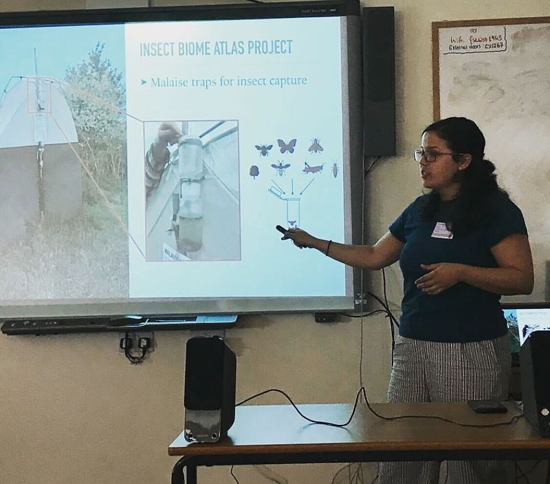 Me next to a slide, giving a presentation. The slide reads "Insect Biome Atlas".