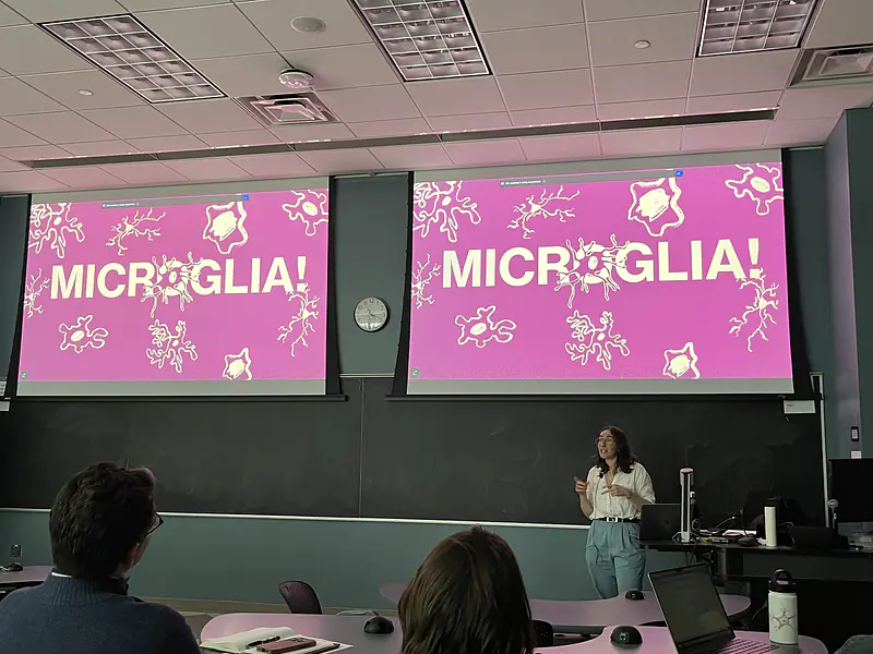 Seminar presentation of my research, Neuroscience Graduate Program, 2024.