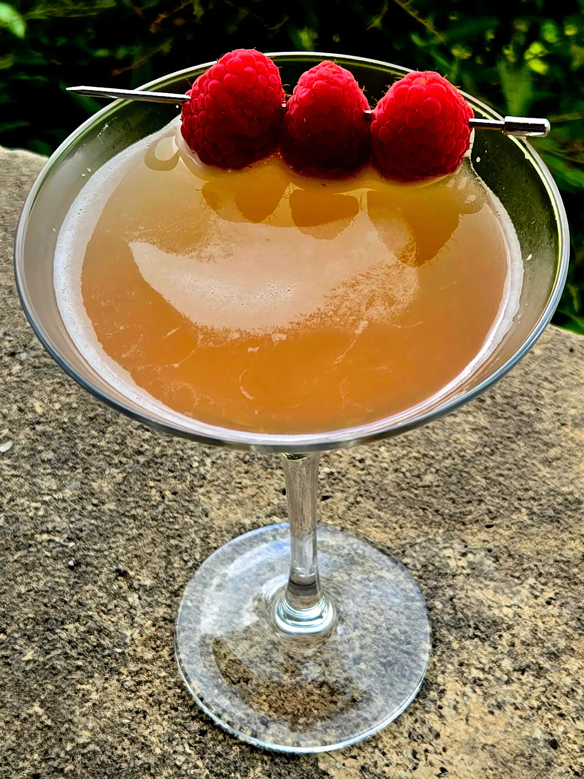 French Martini with Raspberry Garnish
