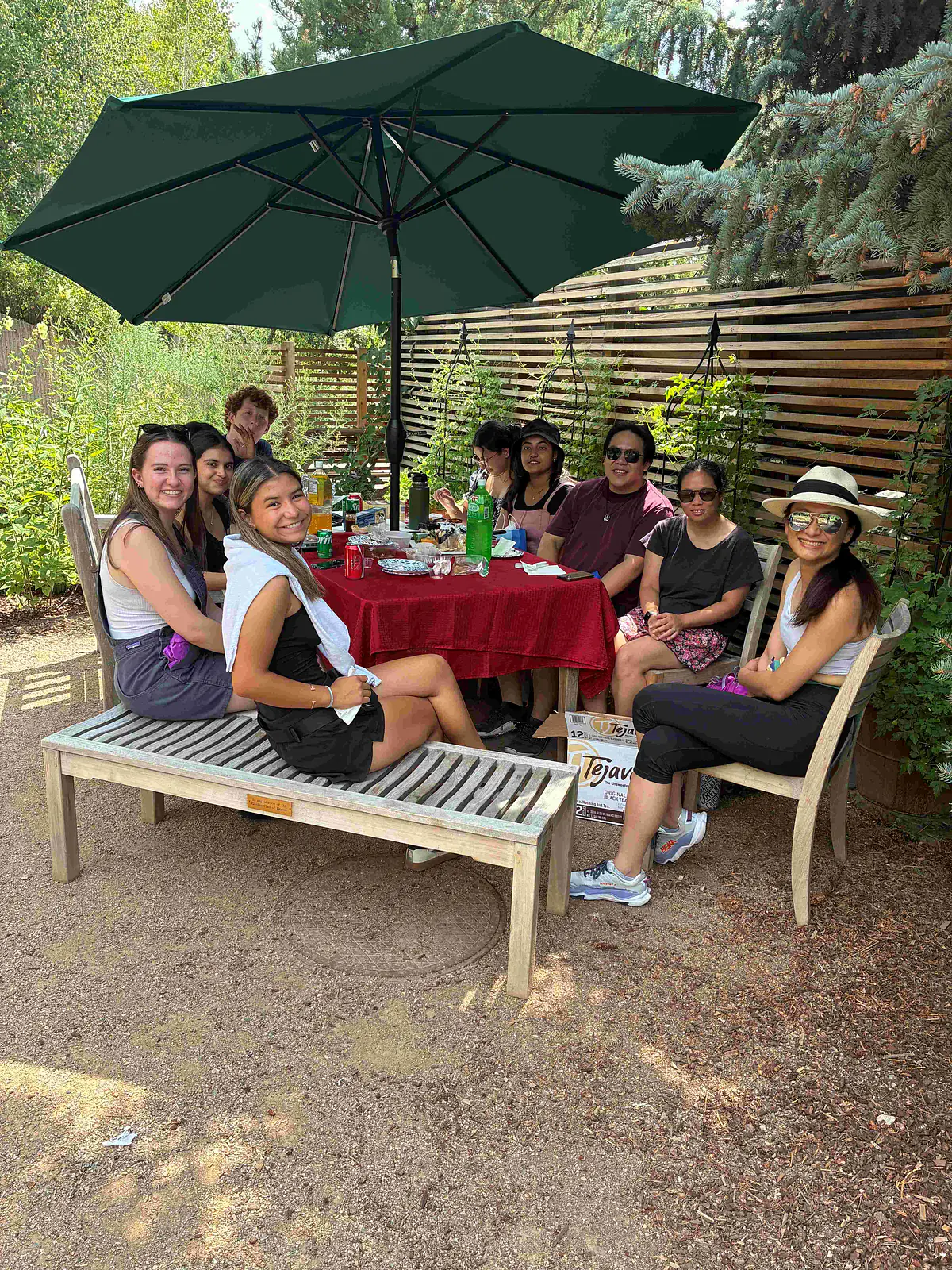 Lunch picnic celebrating summer students 2025
