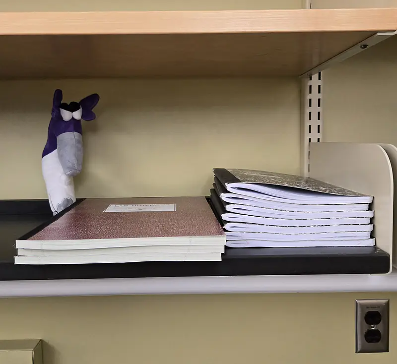 Walker lab mascot Pippa on the shelf