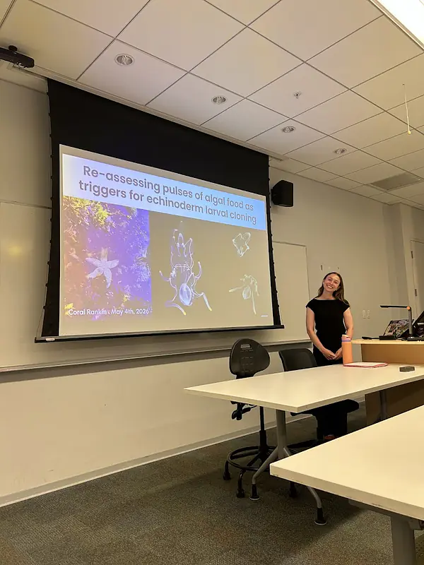 Honors thesis defense