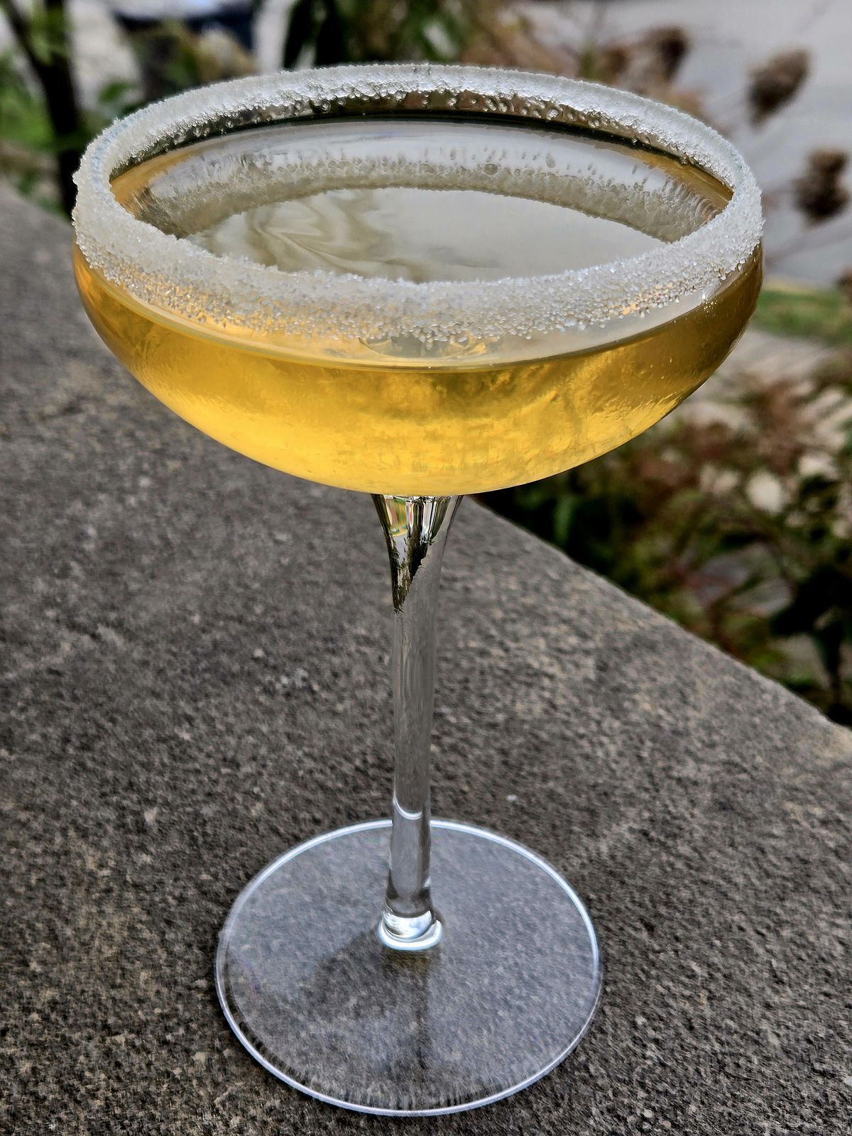 The Golden Bulb cocktail in a Martini glass with sugared rim atop a stone wall.
