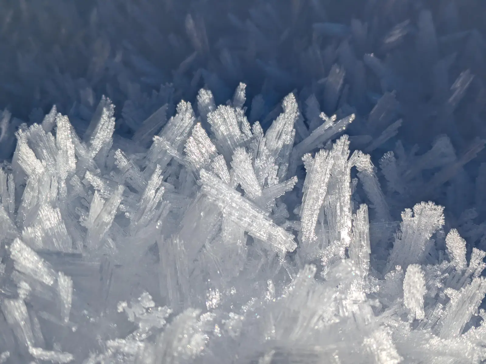 Surface hoar - Flachau (Austria)