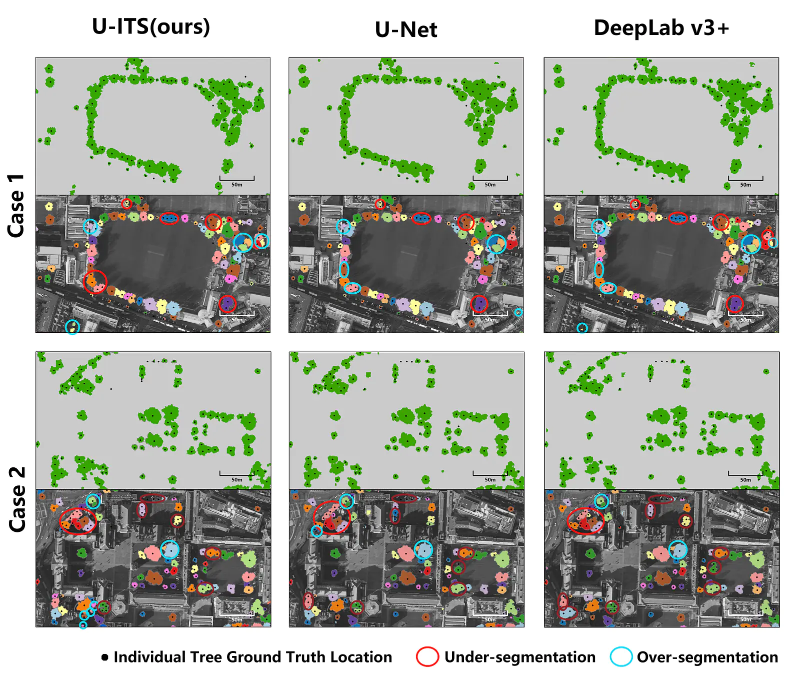 Performance of individual tree segmentation