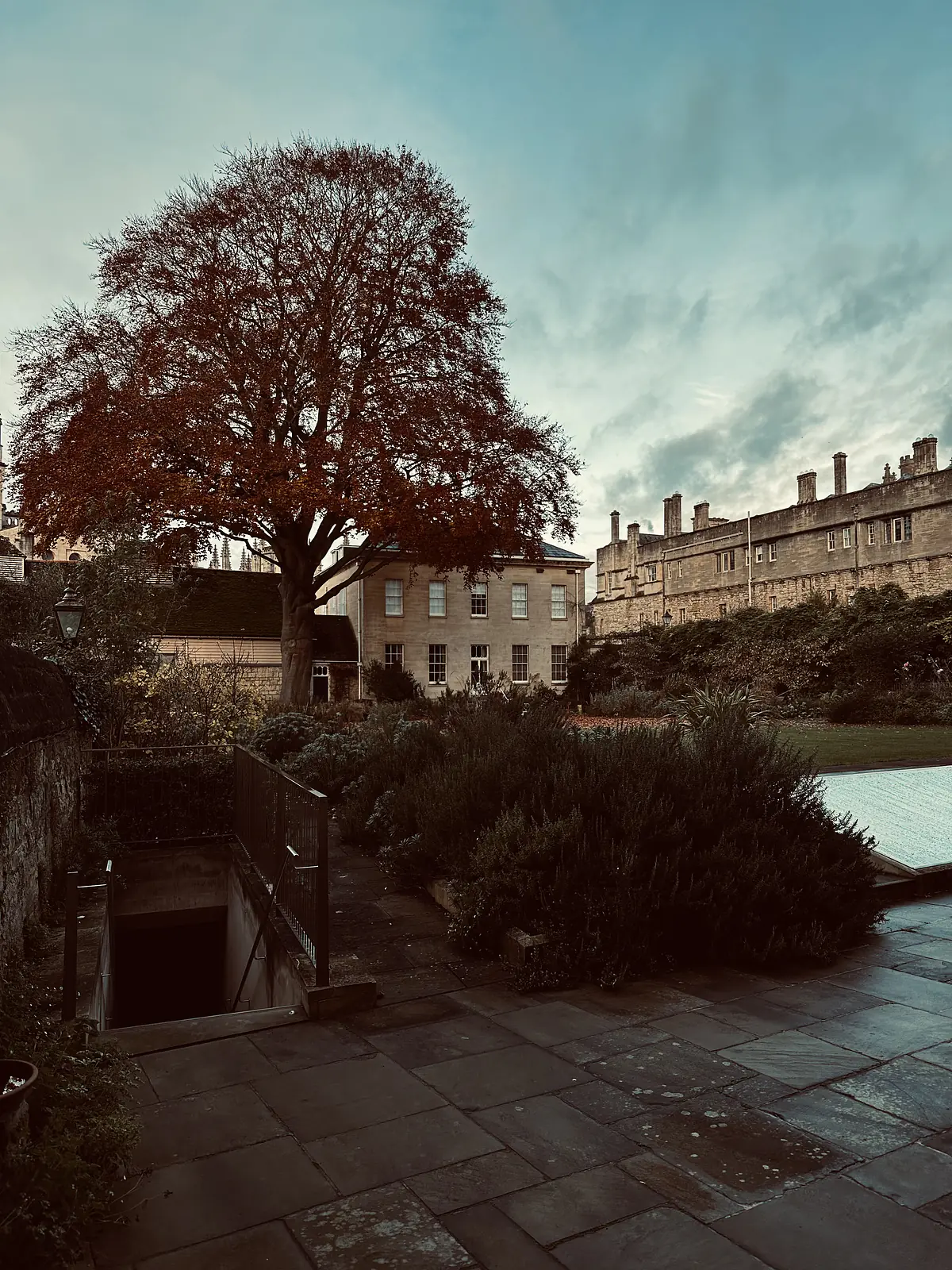 Provost's Garden